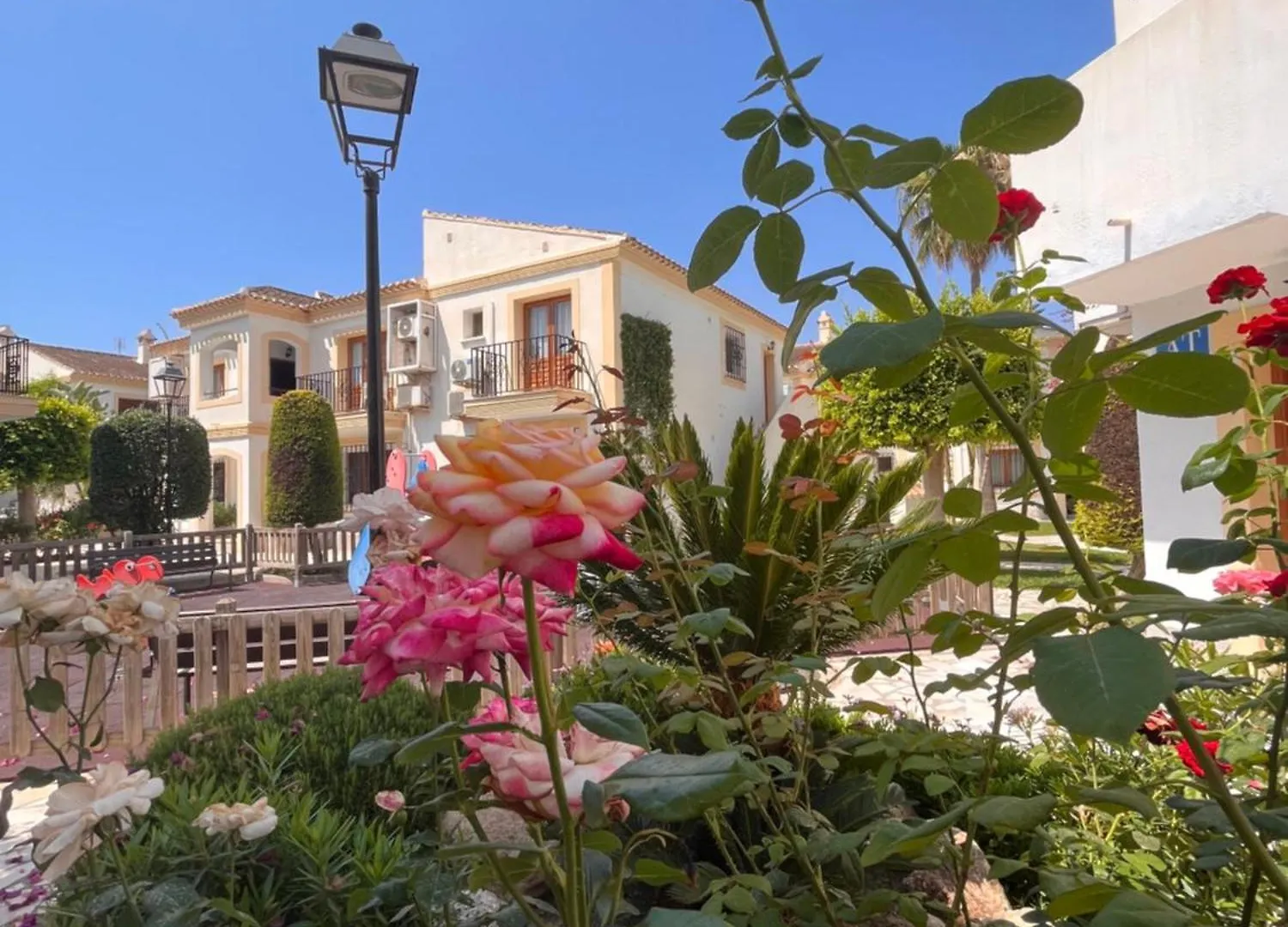 Perla Esmeralda Los Amarguillos Spain